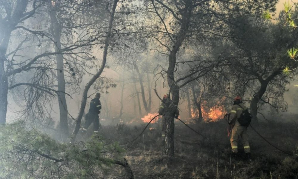 Χαλκίδα: Στο φως βίντεο με τις κινήσεις 52χρονου εμπρηστή - Η στιγμή που φέρεται να βάζει φωτιά